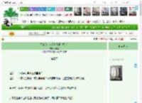 《星露谷，但大海物语 [海贼]》张镜竹　^第3章^ 最新更新:2025-04-13 01:57:01 晋江文学城