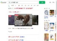 北京大风把小狗吹成海豹了_360搜索