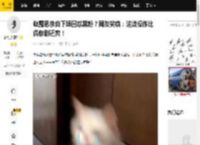 赵露思亲自下场回怼黑粉？网友笑疯：这波操作比偶像剧还爽！_截图_群众_重点