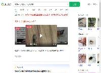 隐翅虫飞入眼女子视力骤降_360搜索