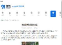 西奥小镇堵车解决方案 - 91手游网
