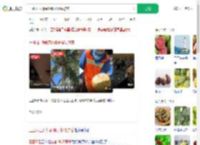 三亚环卫阿姨砍椰子投喂游客_360搜索