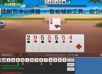 沈阳四冲记牌器 - 智能辅助工具，助你轻松赢牌