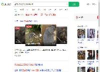 警方回应蓝猫疑被砍断四肢_360搜索