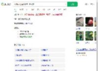 动物园火烈鸟和游客一起散步_360搜索