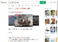 主人回应3眼2鼻2嘴双头猫_360搜索