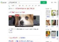 母亲立遗嘱给宠物狗十几万_360搜索