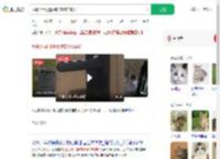 反锁公用门遭撬锁宠物猫被扔_360搜索