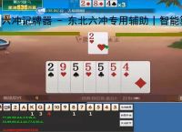 六冲记牌器 - 东北六冲专用辅助丨智能算牌 炸弹分析丨电脑/手机双端通用