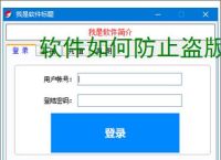 软件如何防止盗版