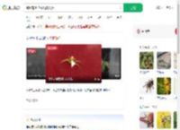 蜘蛛背上花纹酷似人脸_360搜索