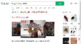 老人屋里垃圾成山全是蟑螂_360搜索