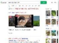 踩到打架的竹叶青和五步蛇_360搜索