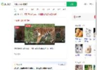 小猫误入虎园被捕食_360搜索