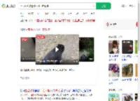 上山捡菌被迷路小熊一路跟随_360搜索