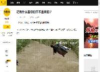 还有什么是你们干不出来的？_水月_杨俊毅_剧本