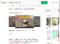 小狗沉迷捡瓶子存款一万多元_360搜索
