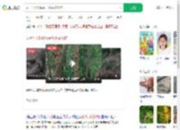 女子不听劝喂猴子花生被咬伤_360搜索