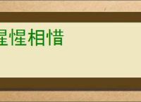 西影视频官方下载-西影视频app最新版下载v3.3.2 安卓手机版-2265安卓网