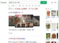 流浪狗乞食生小狗托付老板_360搜索