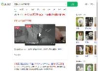 狗狗雨天叼雨布盖芝麻_360搜索