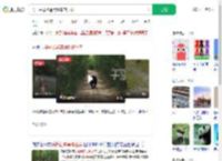 男子采蘑菇遇黑熊车前狂奔_360搜索