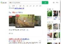 动物园工作人员被狮群咬死_360搜索