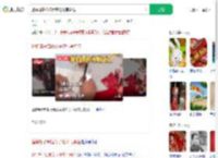 遛狗搭子结婚女子随礼写狗名_360搜索
