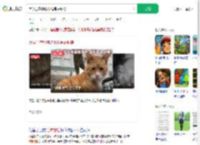 大学生替偷吃小猫写道歉信_360搜索