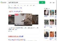 胖猫事件浪费近百吨粮食_360搜索