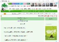 《透明女配疯狂加戏(穿书)》提灯明路　^第99章^ 最新更新:2025-03-29 20:43:37 晋江文学城