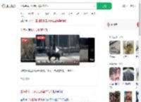 上海街头一野猪狂奔暂未伤人_360搜索