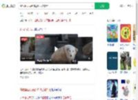 偷吃墓园贡品的边牧已被禁足_360搜索