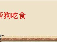 剩三月命？替嫁弃妇发疯创死所有最新章节,剩三月命？替嫁弃妇发疯创死所有无弹窗 - 文学馆