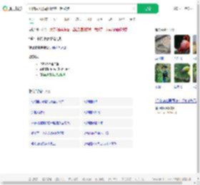 动物园火烈鸟和游客一起散步_360搜索