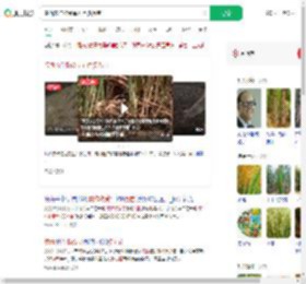 陕西农作物受旱五百多万亩_360搜索