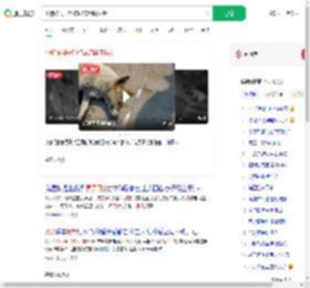 小狗被男子射伤忍痛用嘴拔针_360搜索