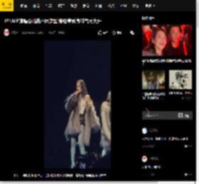 JENNIE演唱会挑战不同造型 穿皮草秀身材气场大开