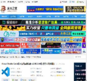 VSCode中文版下载 Visual Studio Code跨平台代码编辑器 v1.98.1 64位 官方中文安装版 下载-脚本之家