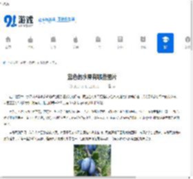 蓝色的水果有哪些图片 - 91手游网