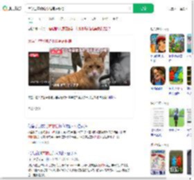 大学生替偷吃小猫写道歉信_360搜索