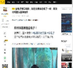 金龟子穿厚底鞋，站在女婿身边矮了一截，网友称锅盖头是种情怀_发型_形象_动物王国