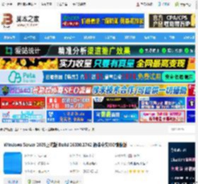 windows server 2025官方下载 Windows Server 2025正式版 Build 26100.1742 简体中文ISO镜像版 下载-脚本之家