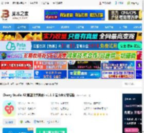 Cherry Studio下载 Cherry Studio AI(模型服务聚合) v1.1.5 官方中文安装版 下载-脚本之家