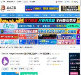 图片压缩软件下载 Caesium Image Compressor 图片无损压缩软件 v2.8.4 安装免费版 下载-脚本之家