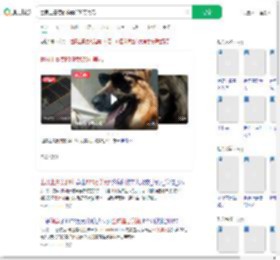 世界上最贵的狗卖570万美元_360搜索