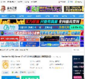 Nicat17官方下载 Nicat for SQL Server 17 v17.2.3 中文免费企业版(附安装教程) 下载-脚本之家