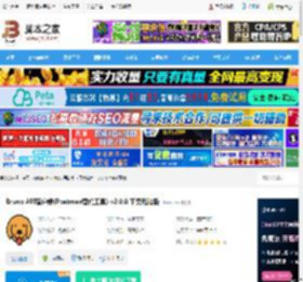 Bruno mac版下载 Bruno API客户端(Postman替代工具) v2.0.0 苹果电脑版 下载-脚本之家