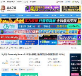 MySQL9.0下载 MySQL Community Server v9.2.0 官方免费正式版(附离线包 安装配置教程) 32/64位 下载-脚本之家