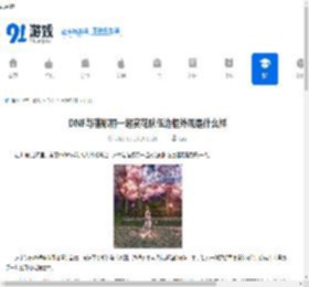 DNF与蓓娜丽一起赏花队伍边框外观是什么样-DNF与蓓娜丽一起赏花队伍边框外观介绍 - 91手游网